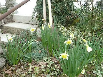 Roissy Chambres Bed & Breakfast France